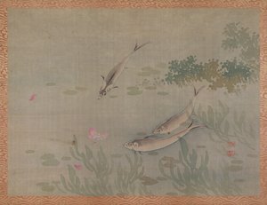 Peixe, 1851 (aquarela em seda)